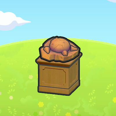 Skull Fossil display