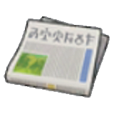 Newspaper