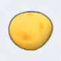 Potato